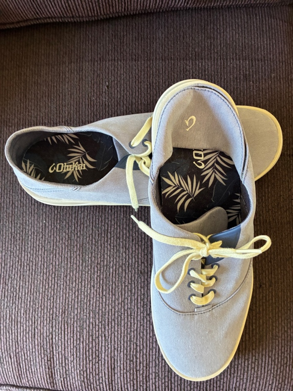 Trade Winds Men’s Sneakers